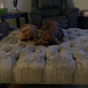 Meet your Posher, Brad